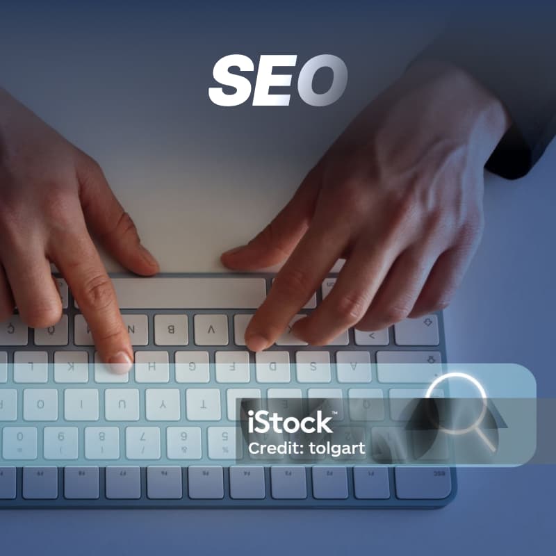 Search Engine Optimization